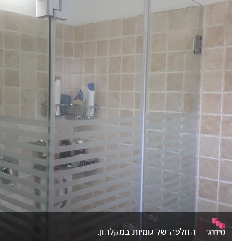 מקלחון זכוכית עם מדף מוצרים וסבונים